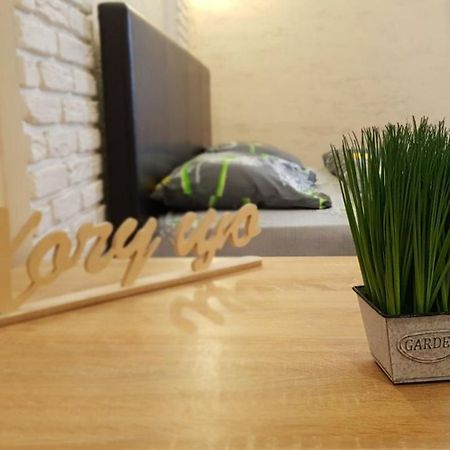 New Luxury Studio Apartment Iwano-Frankiwsk Zewnętrze zdjęcie